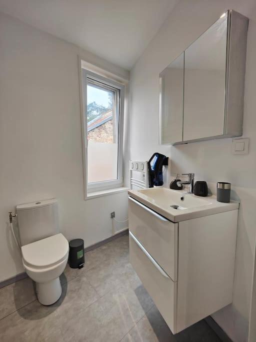 דירות La Feline - Duplex - Vieux Valenciennes - Familial מראה חיצוני תמונה